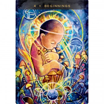 Sacred Mushroom Oracle kortos Hay House